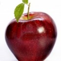 2498229-red-delicious-apple